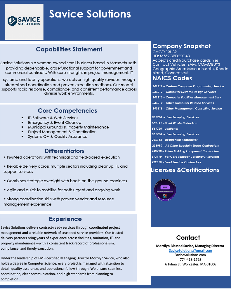 Savice Solutions Capabilities Statement Preview